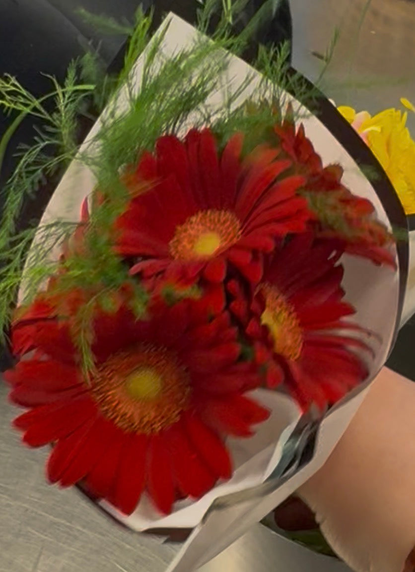 Gerber Daisy Bunch