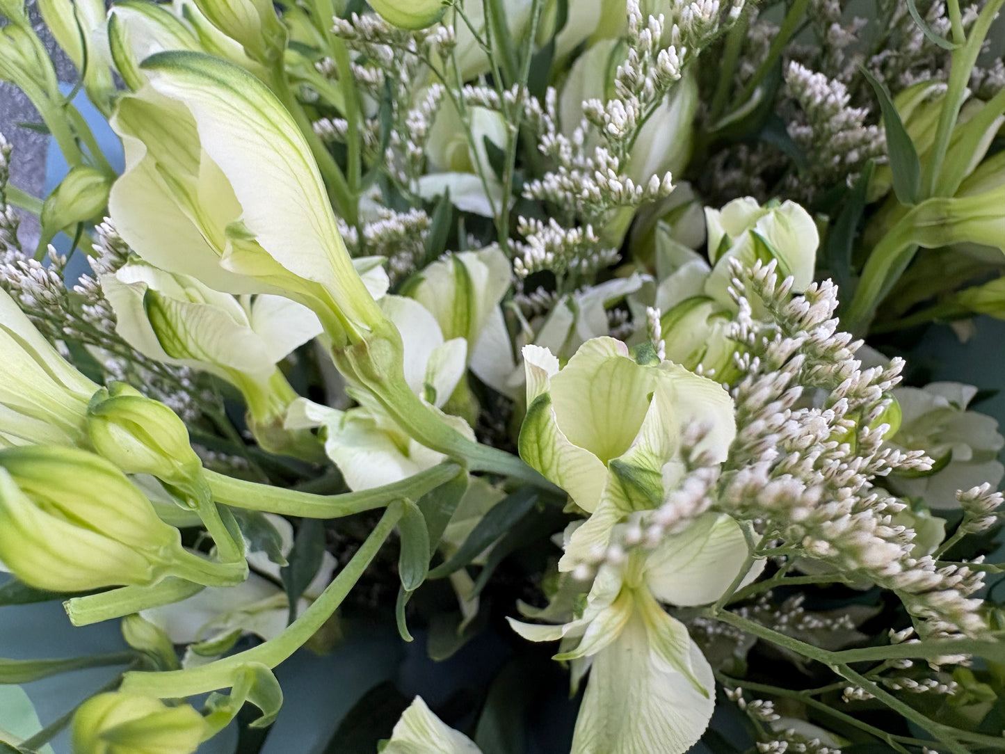 Alstro Pearl Market Bunch