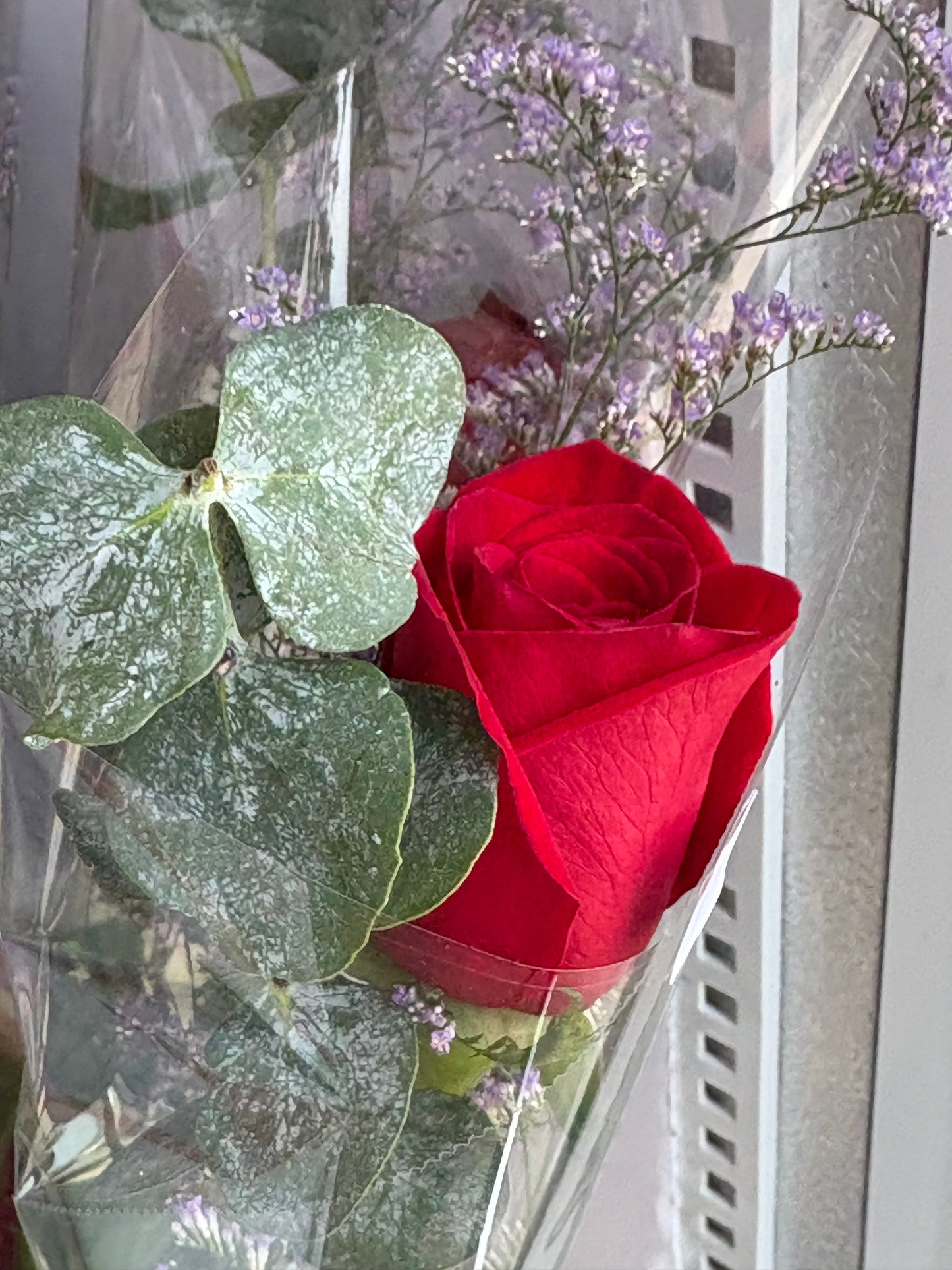 Midnight Market Single Rose