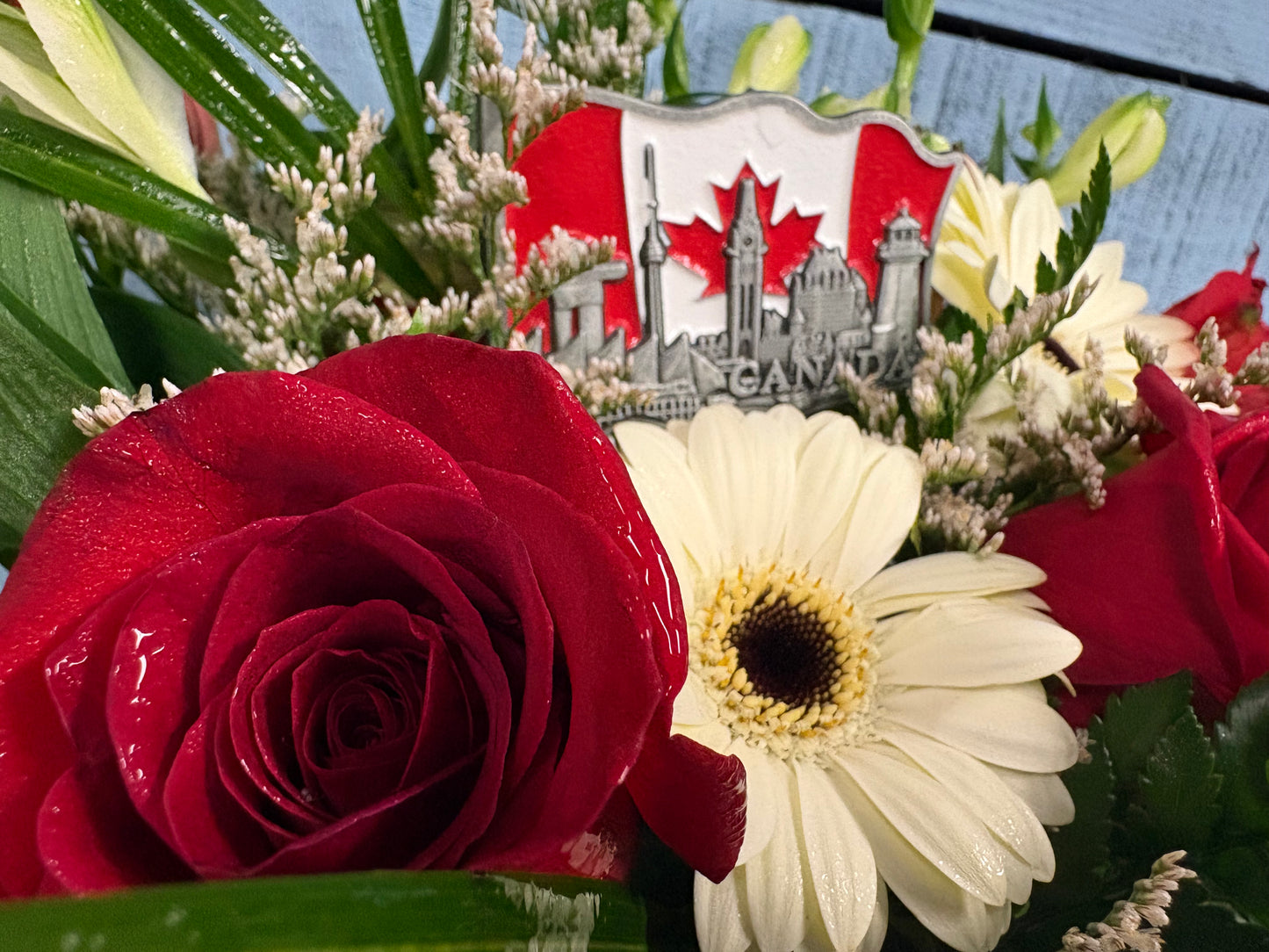 Canada Day Special