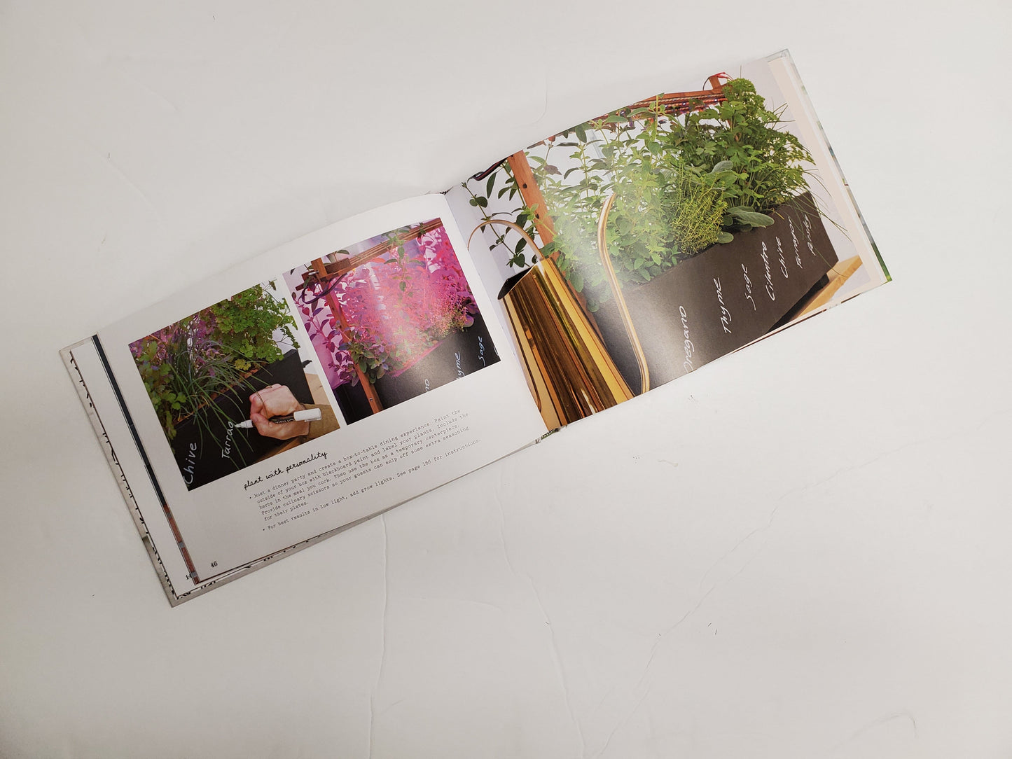 Window box book