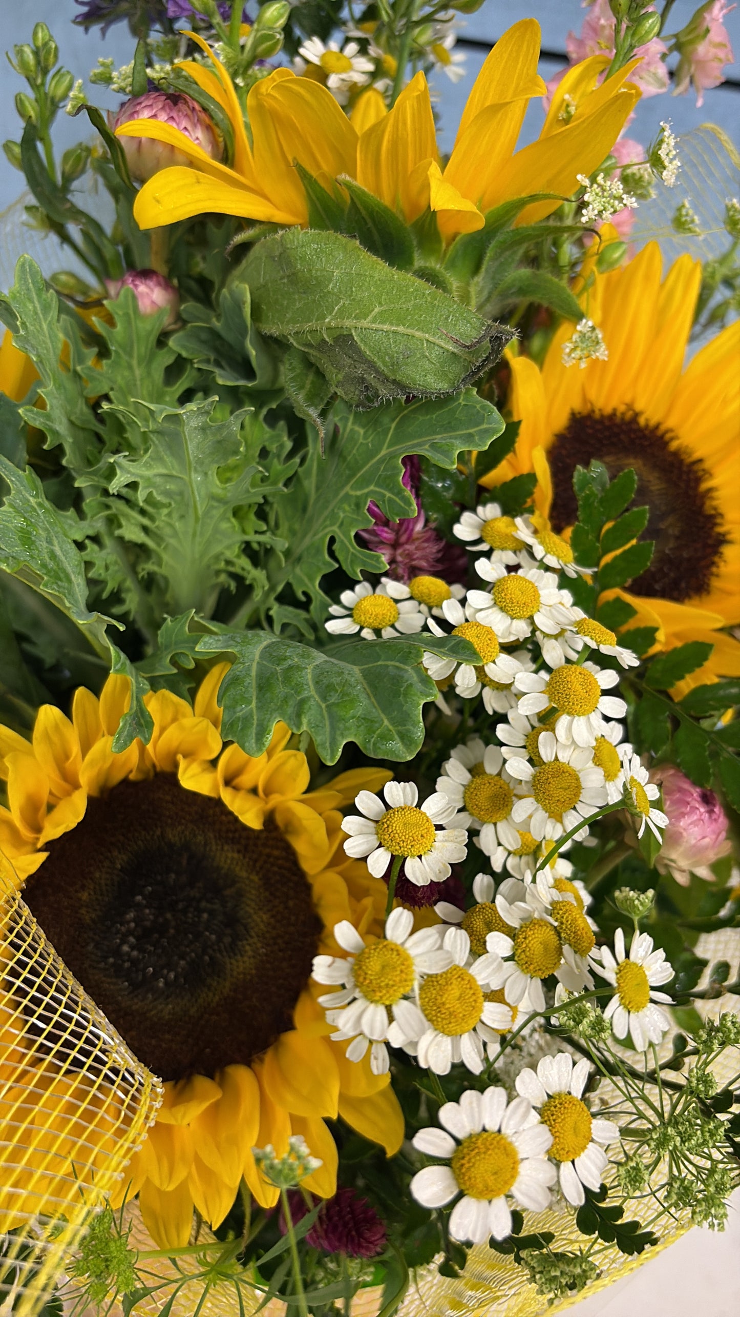 Fairy Garden Sunflower Arrangement In Water Box