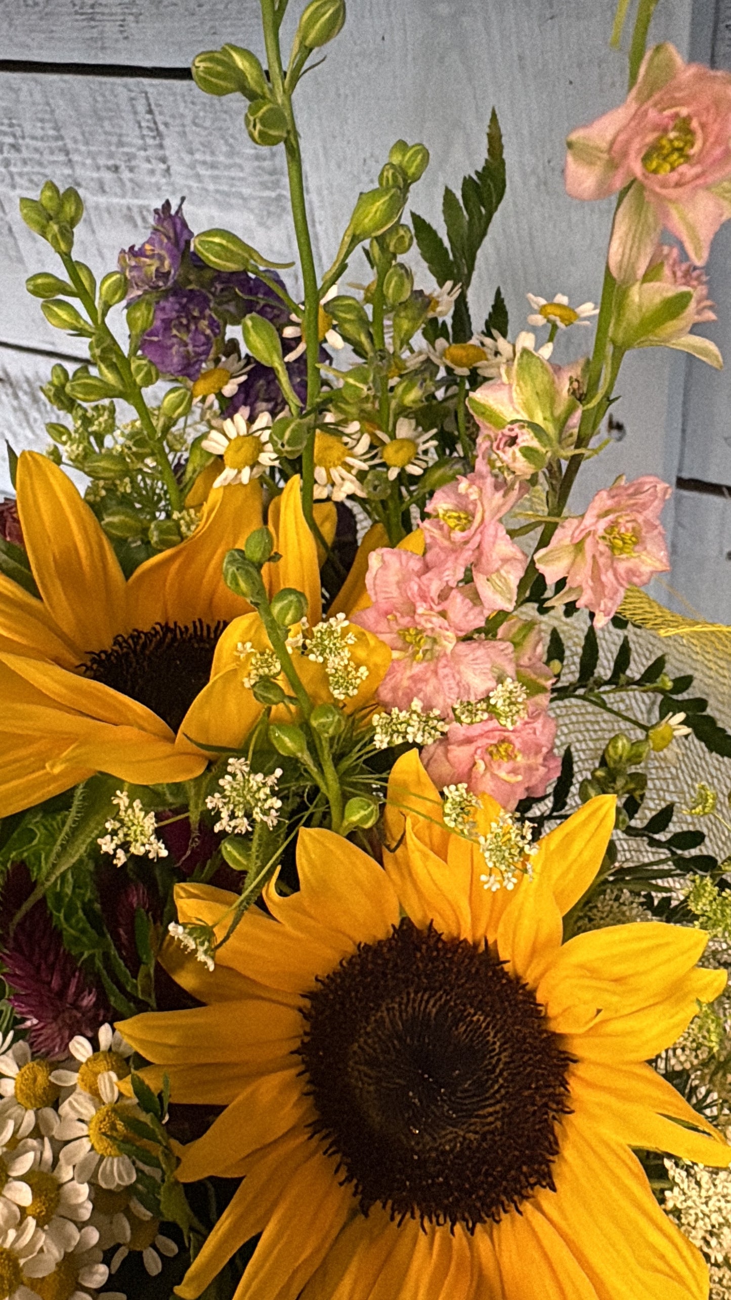Fairy Garden Sunflower Arrangement In Water Box