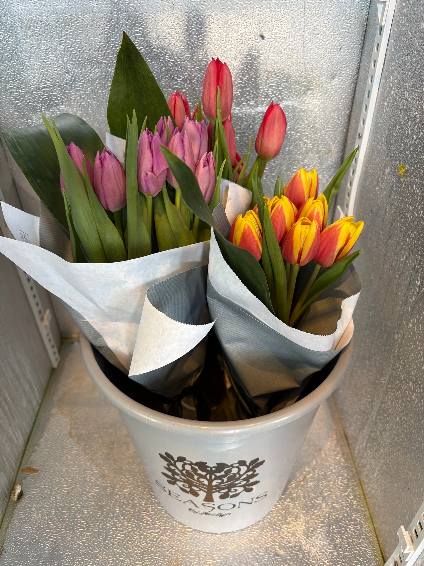 $15 Tulip Special