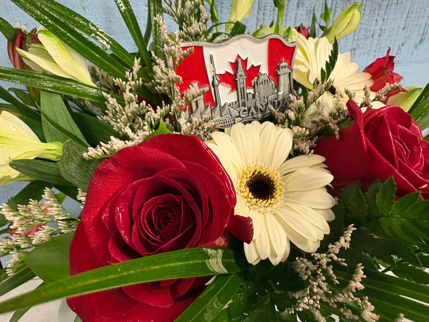 Canada Day Special