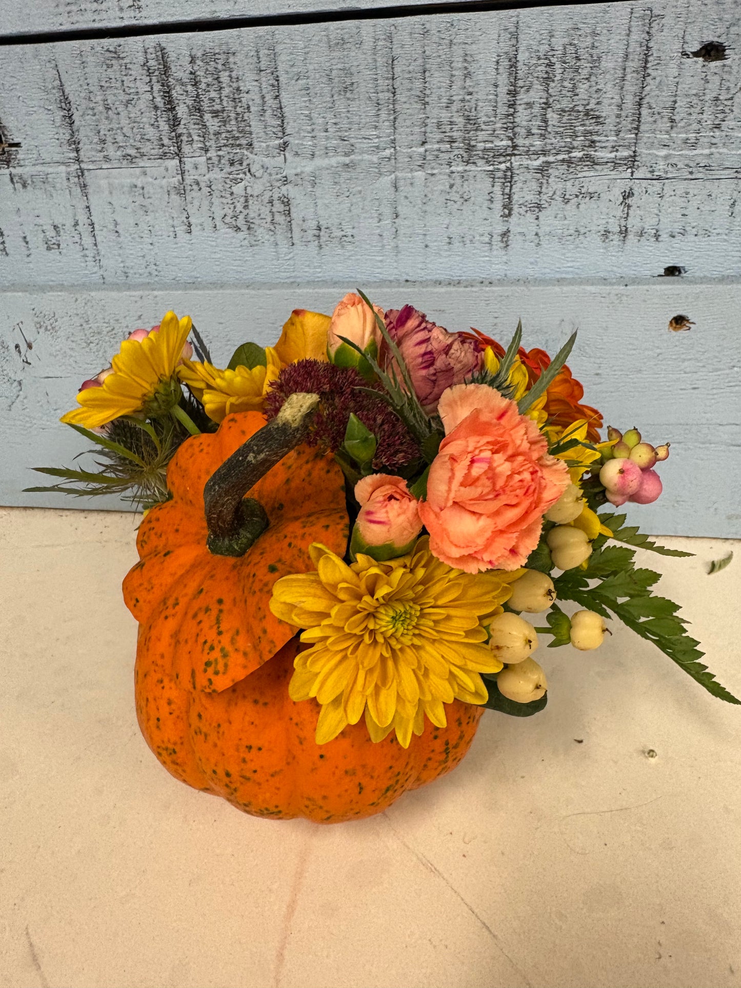 Midnight Mini Pumpkin