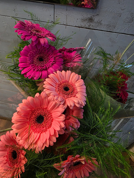 Market bunch Gerbs or  Pompon Mums