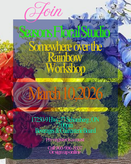 Somewhere Over the Rainbow Workshop