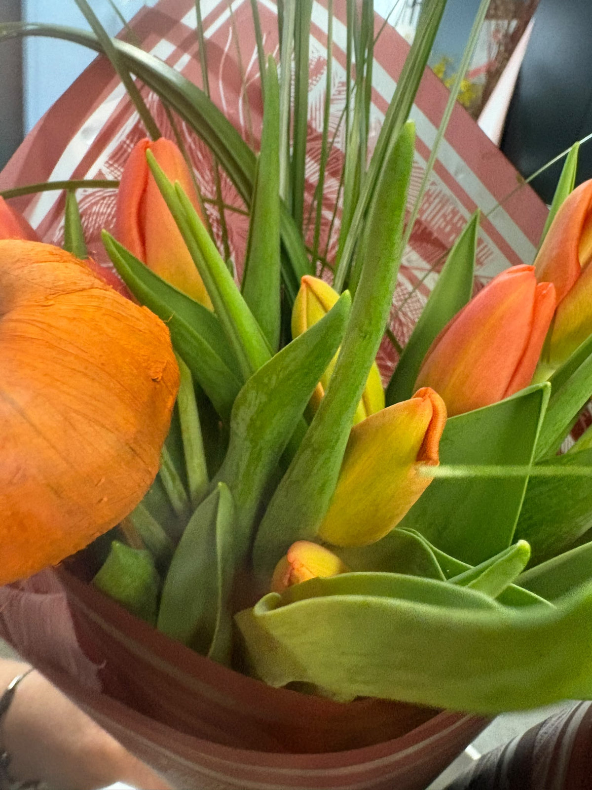 Thanksgiving Tulips